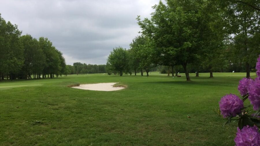 Holthuizen GC