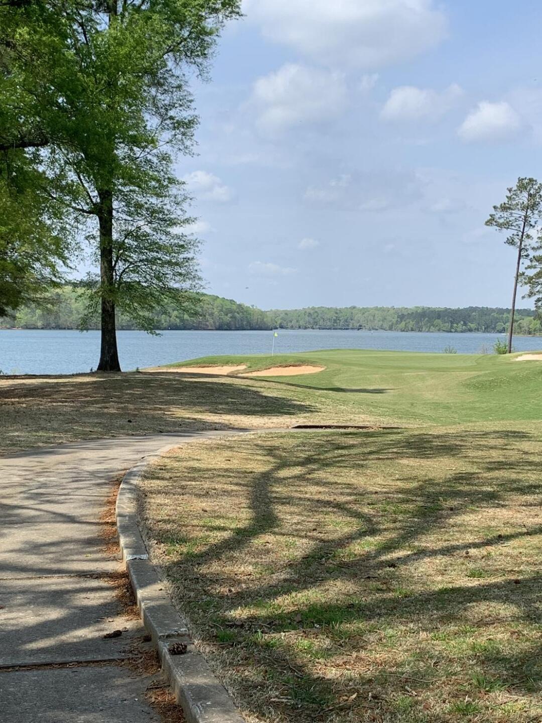 (Photo submitted by u662311286 on 04/06/2023)