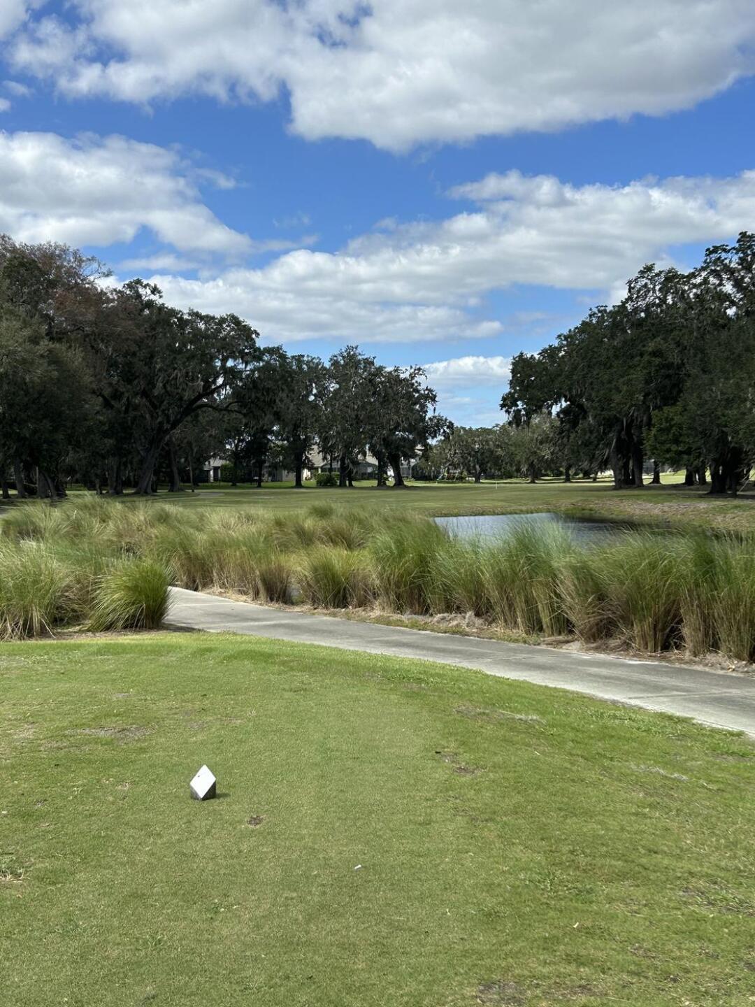 (Photo submitted by dlpetrella on 10/25/2024)