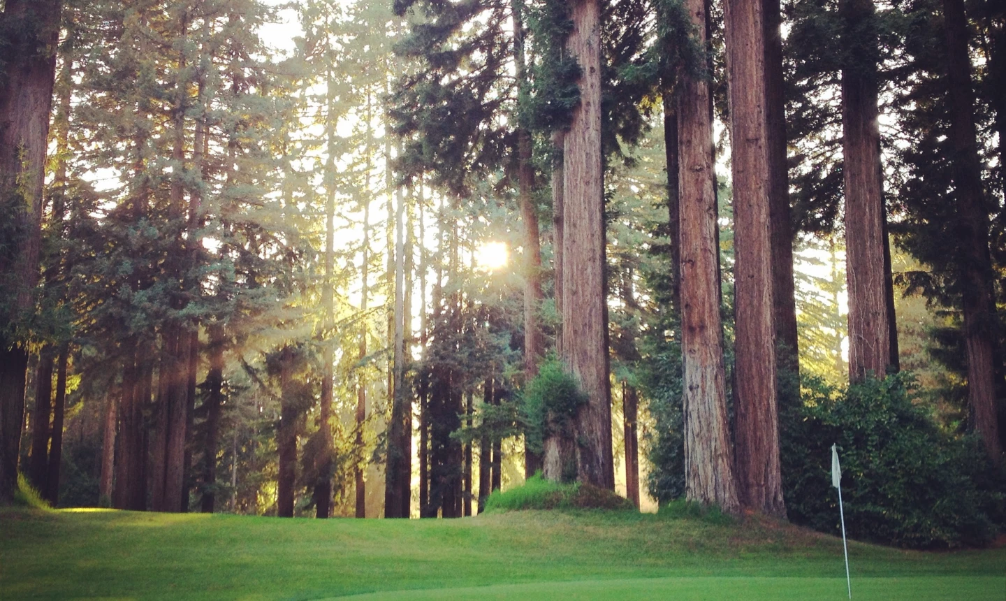 Northwood Golf Course