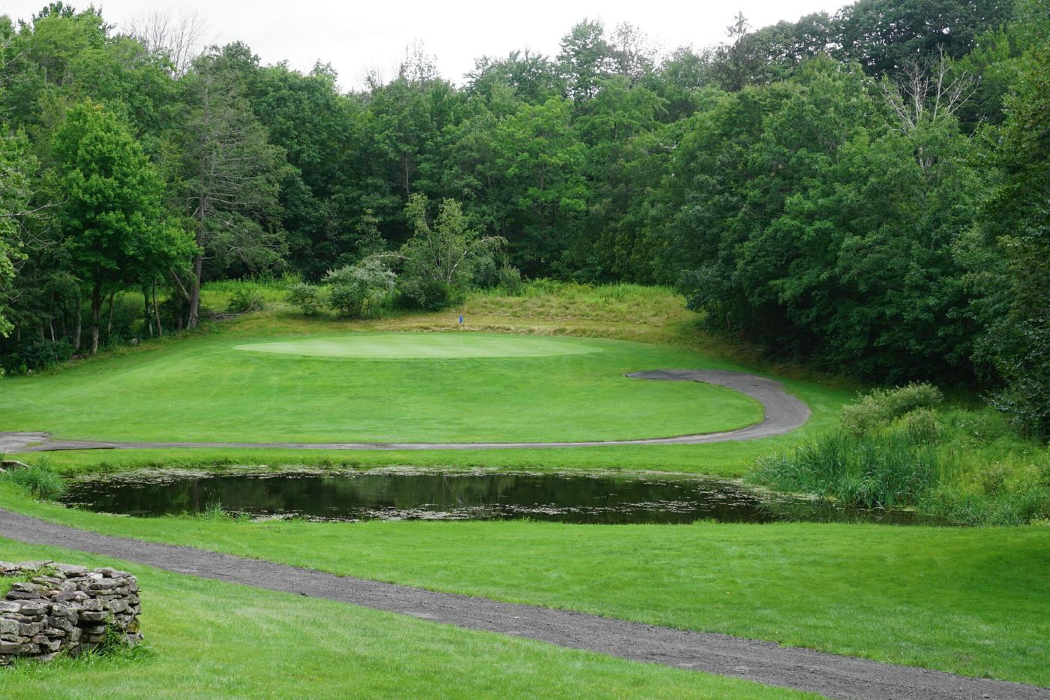 Eight, a short three-par, demands a precise tee shot to a green set atop a small plateau. (Photo submitted by AptlyLinked on 07/20/2021)