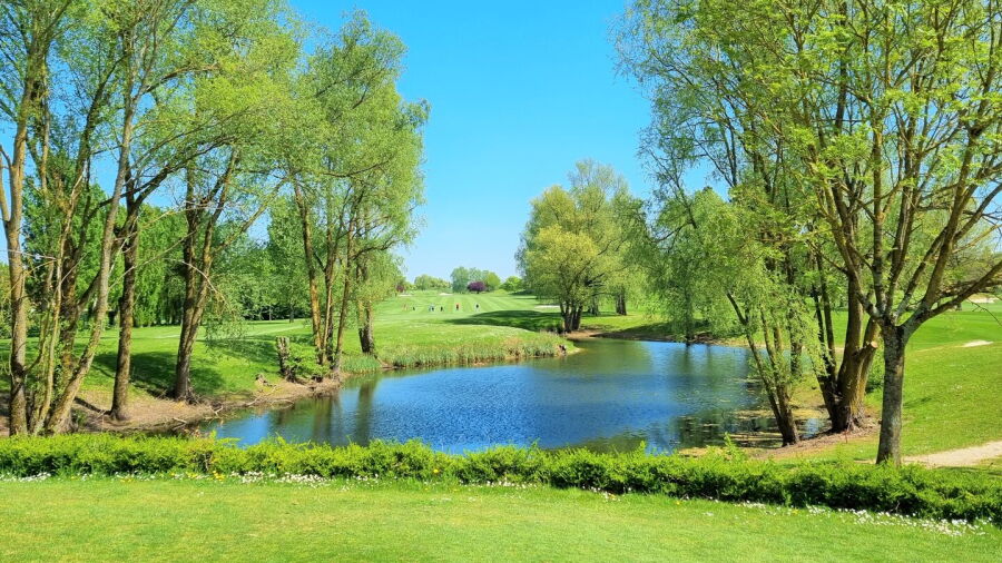 Bussy Guermantes GC