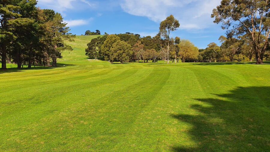 Camperdown GC: #12