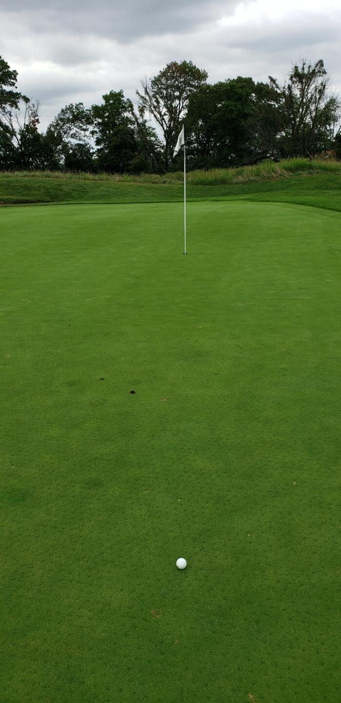 Hole #11 Par (Photo submitted by shooterbooth on 09/13/2020)