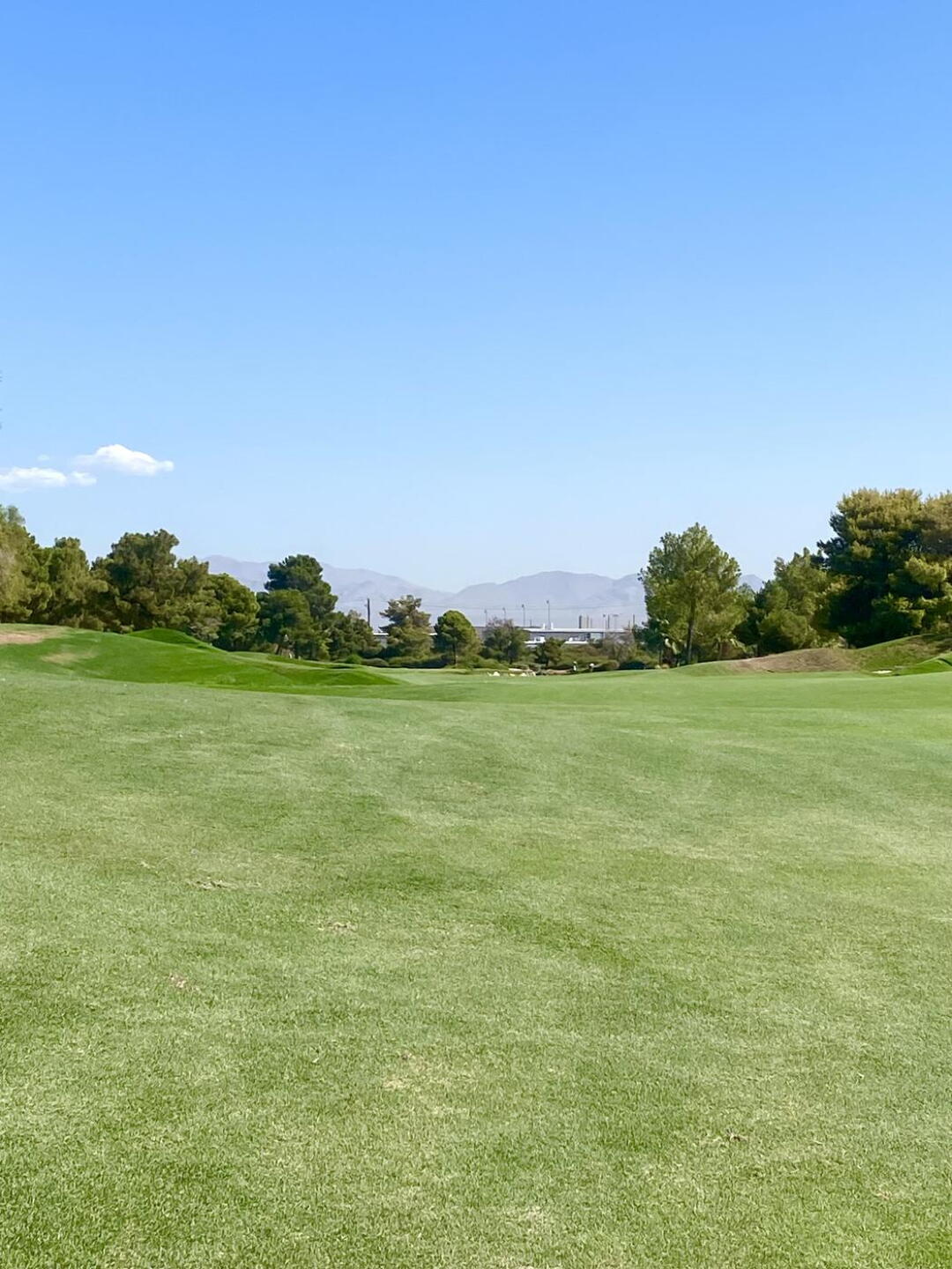 ⛳️ (Photo submitted by captainron1965 on 08/06/2024)
