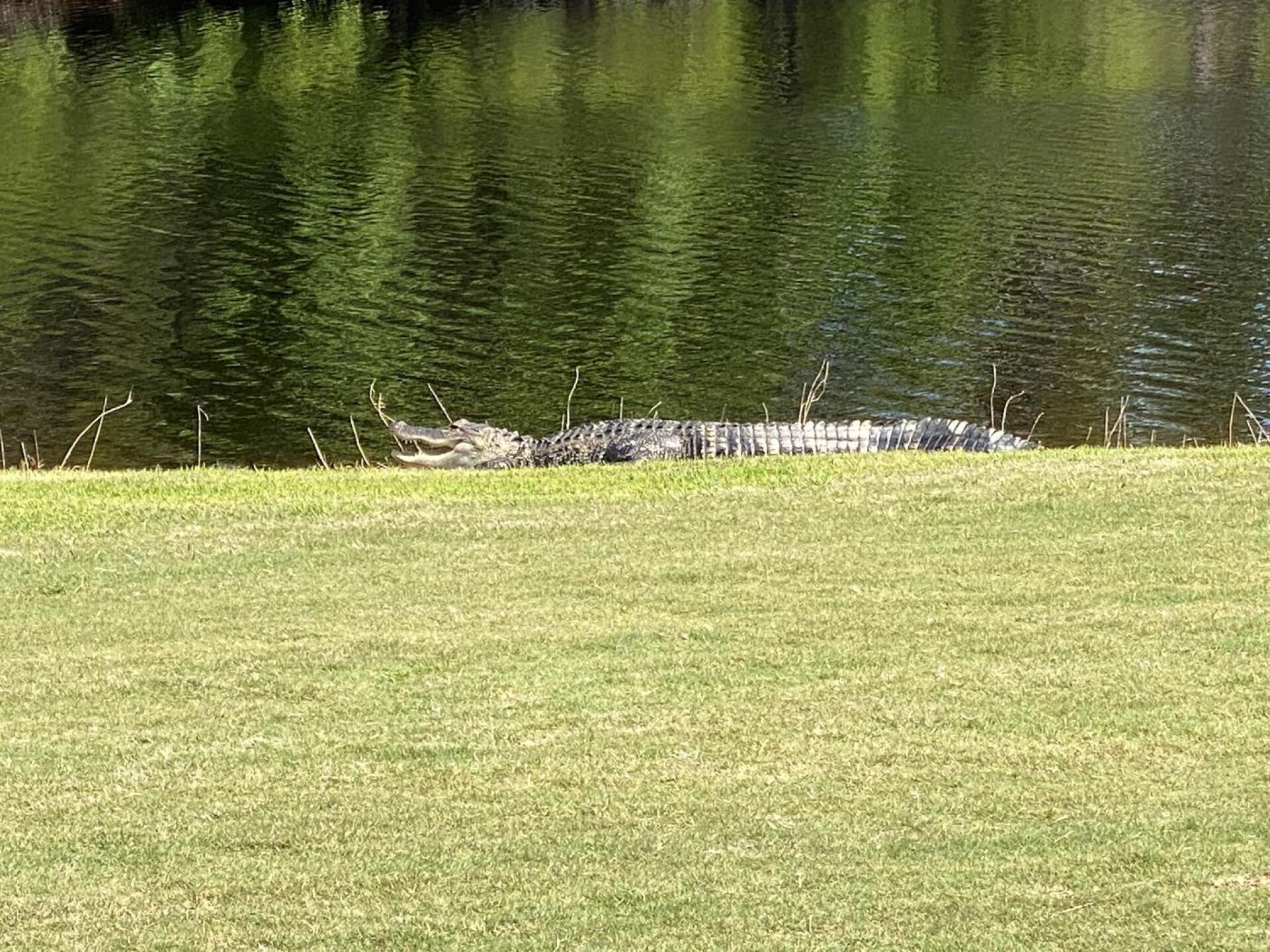 Spotter (Photo submitted by dbaker331 on 05/27/2022)