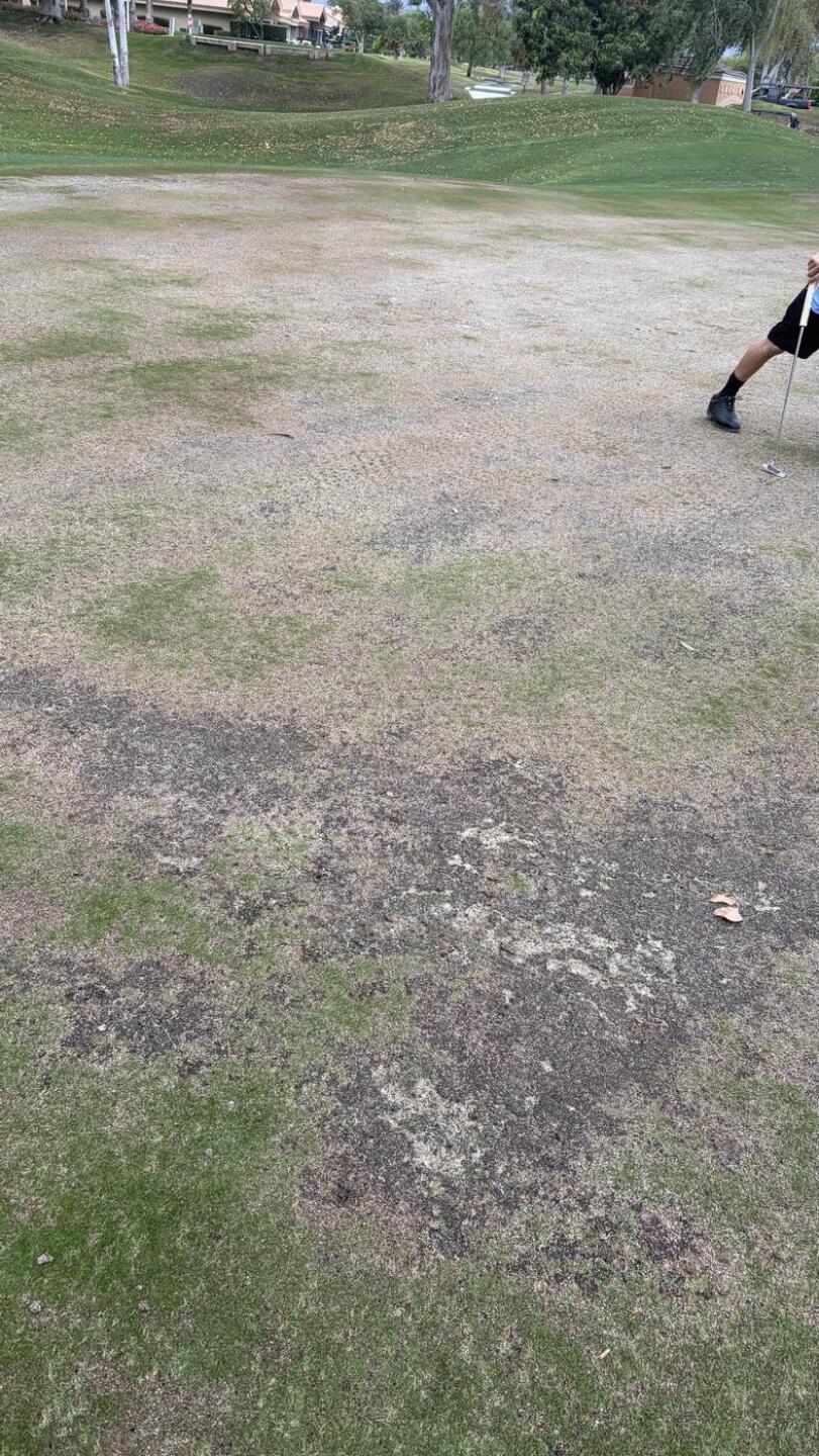 (Photo submitted by Stuartallen on 03/31/2026)