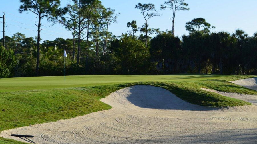 Colony GCC: #3