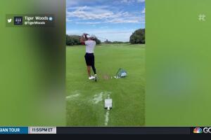 Tiger taking swings is 'one step' toward recovery
