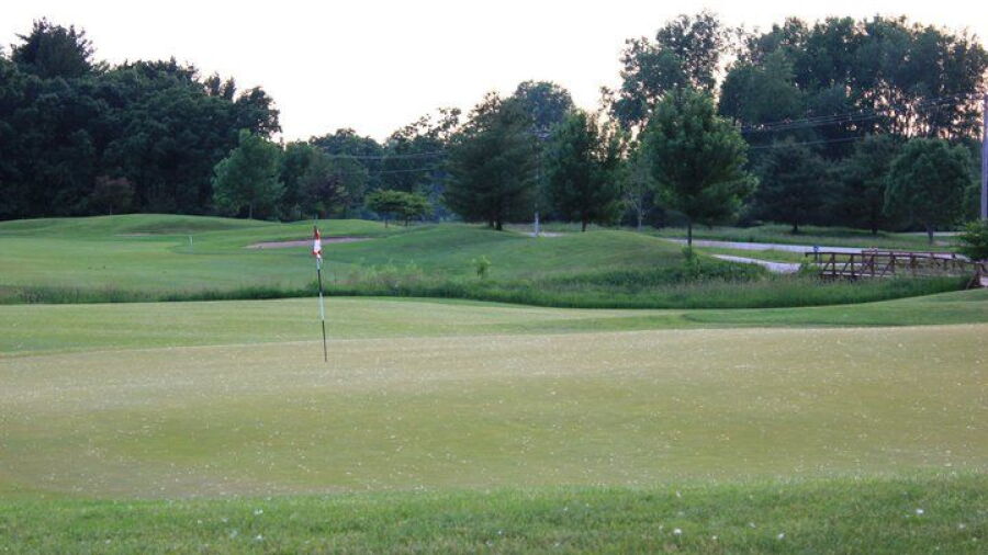 Blue at Mascoutin GC: #1