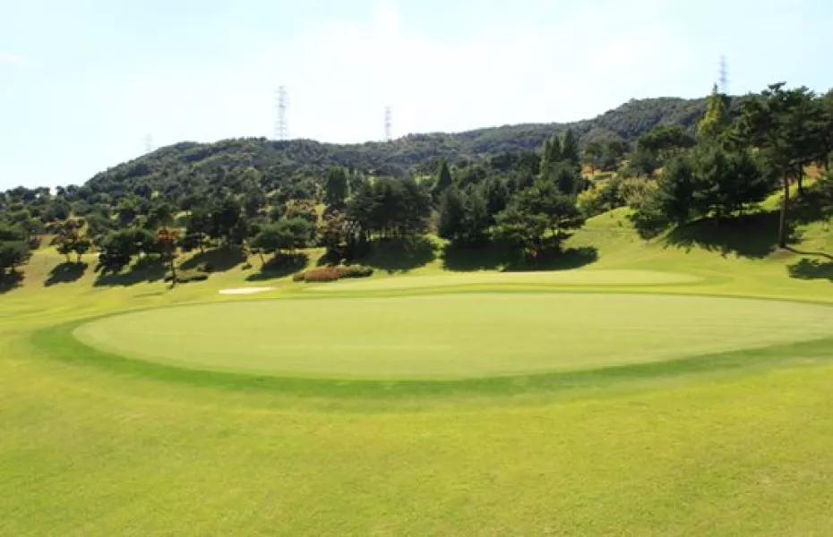 Shinan CC - Apple: #2