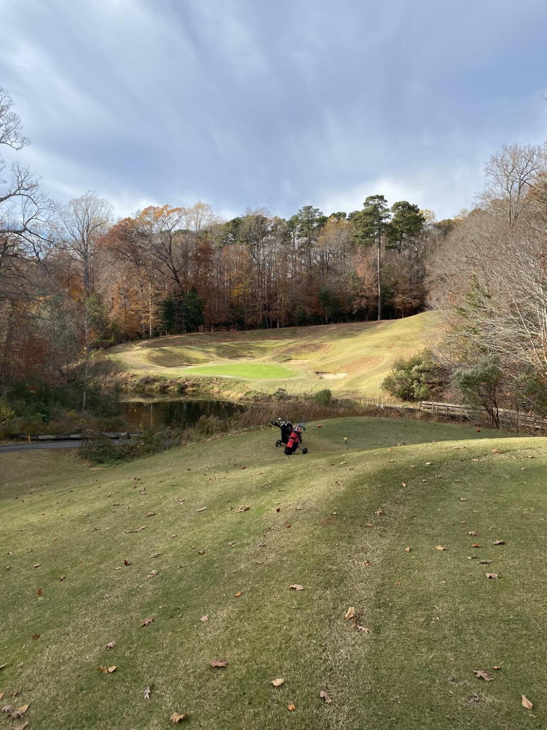 Beautiful par 3 (Photo submitted by Walter6421436 on 11/20/2023)
