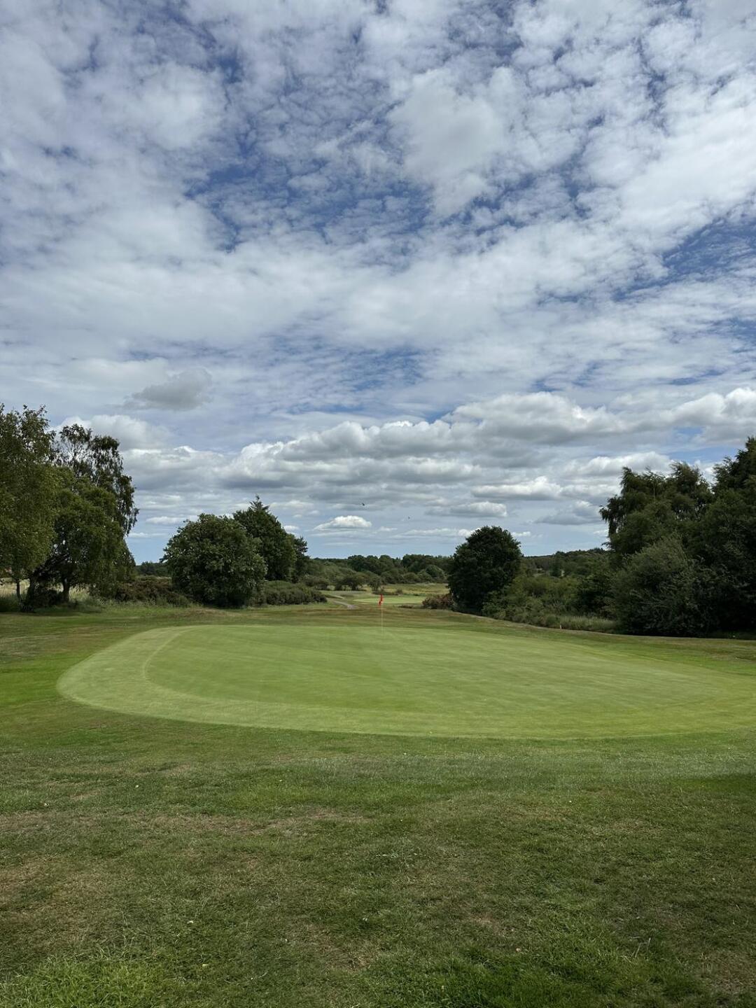 (Photo submitted by 1hDSzmA269X3Maj3OmRX on 07/03/2025)