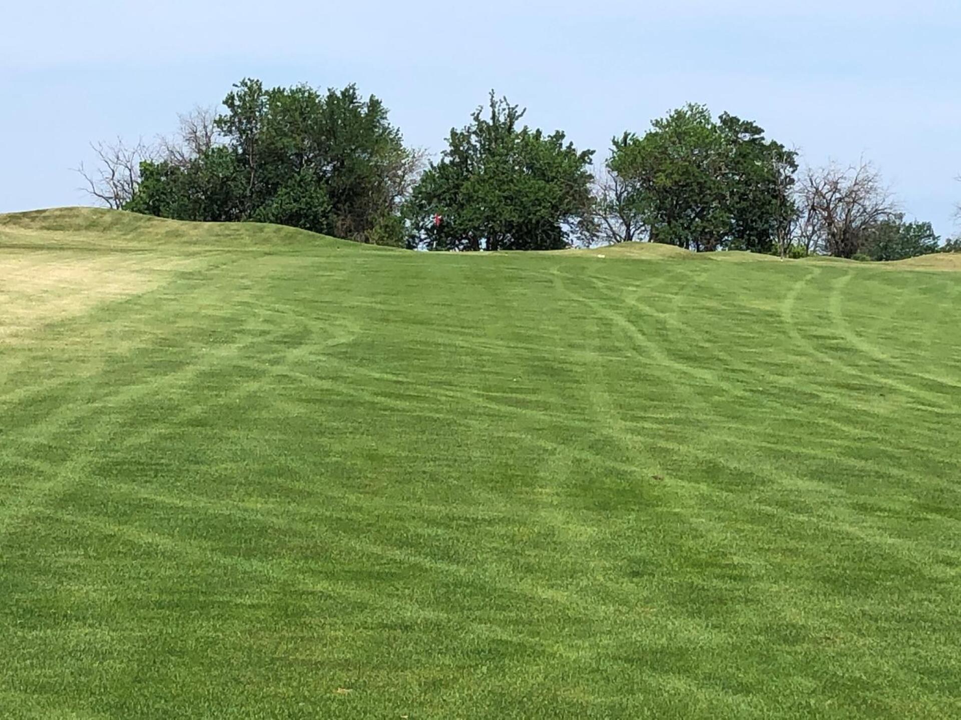 (Photo submitted by Kale1523211 on 08/09/2020)