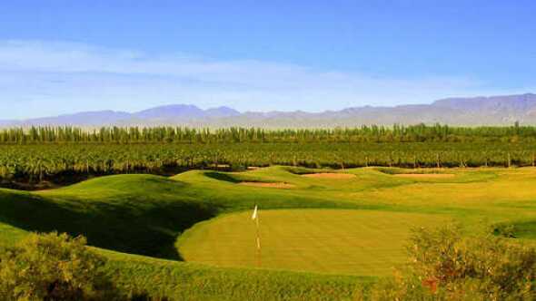 Algodon Vinas Del G.