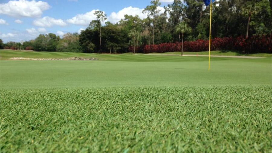 The Hideaway CC: #16