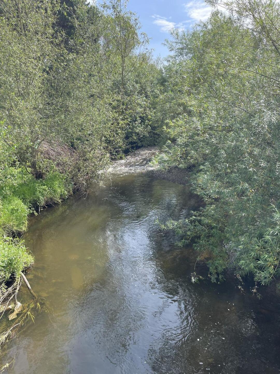 (Photo submitted by louisehawkins10 on 07/20/2024)