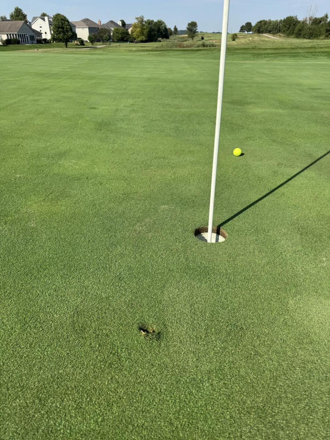 Pulled it back!  Almost an ace on number 6. (Photo submitted by u000006291258 on 09/06/2026)