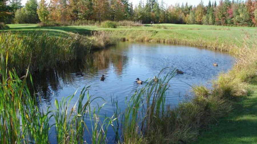 Club de Golf Venise - Le Deauville