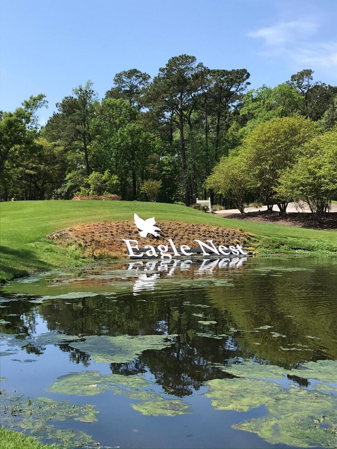 Nice Finish (Photo submitted by Darlene5179352 on 05/07/2020)