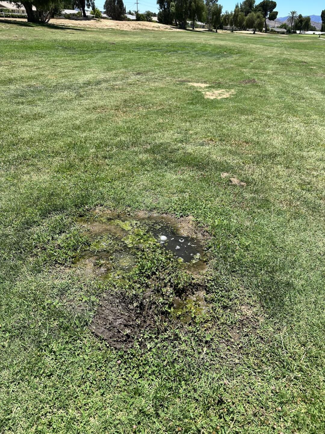 (Photo submitted by Tusane8388686 on 07/06/2023)