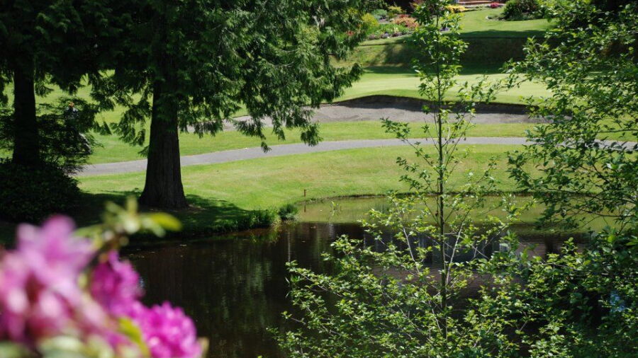 Meadowmeer GCC: #2