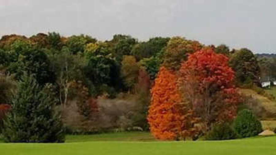 Cassadaga CC