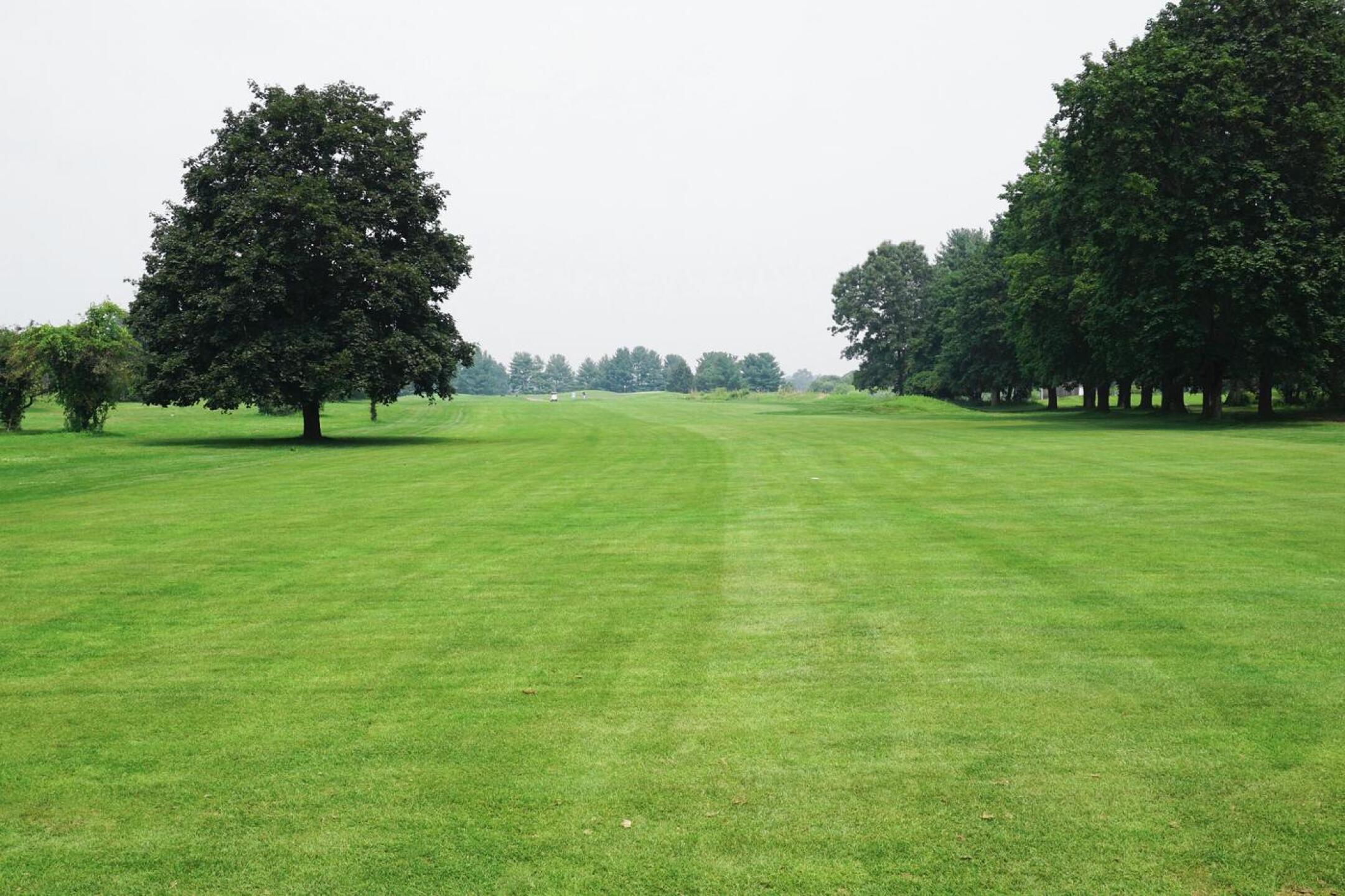 Red, 8th: The general parkland character of BFR, typified by this fairway--looking back to the tee. (Photo submitted by AptlyLinked on 07/23/2021)
