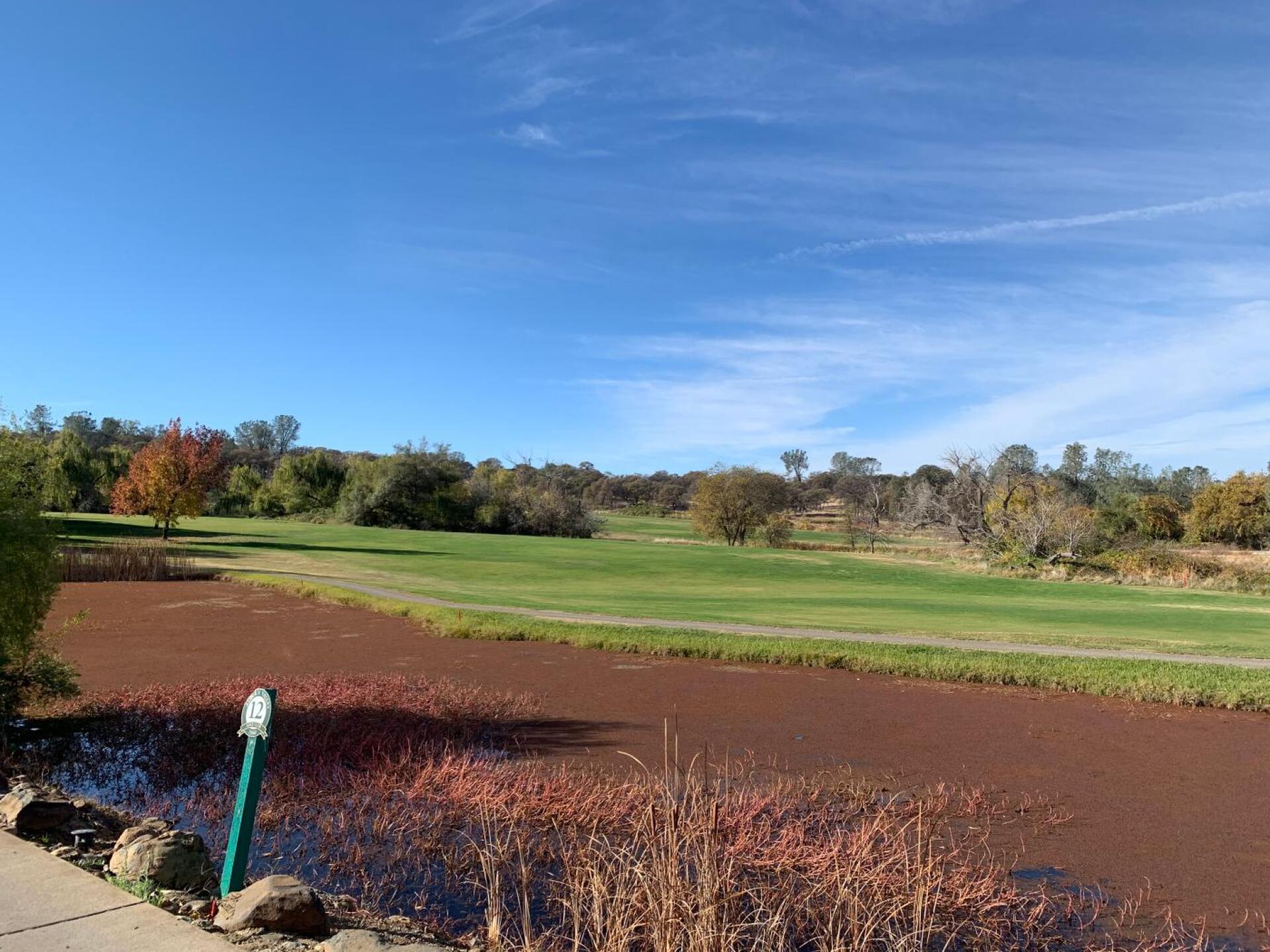 (Photo submitted by wagwag on 11/24/2019)