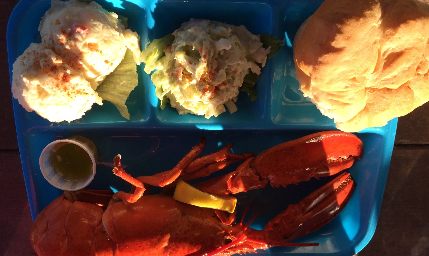 Top Notch Lobster Tour