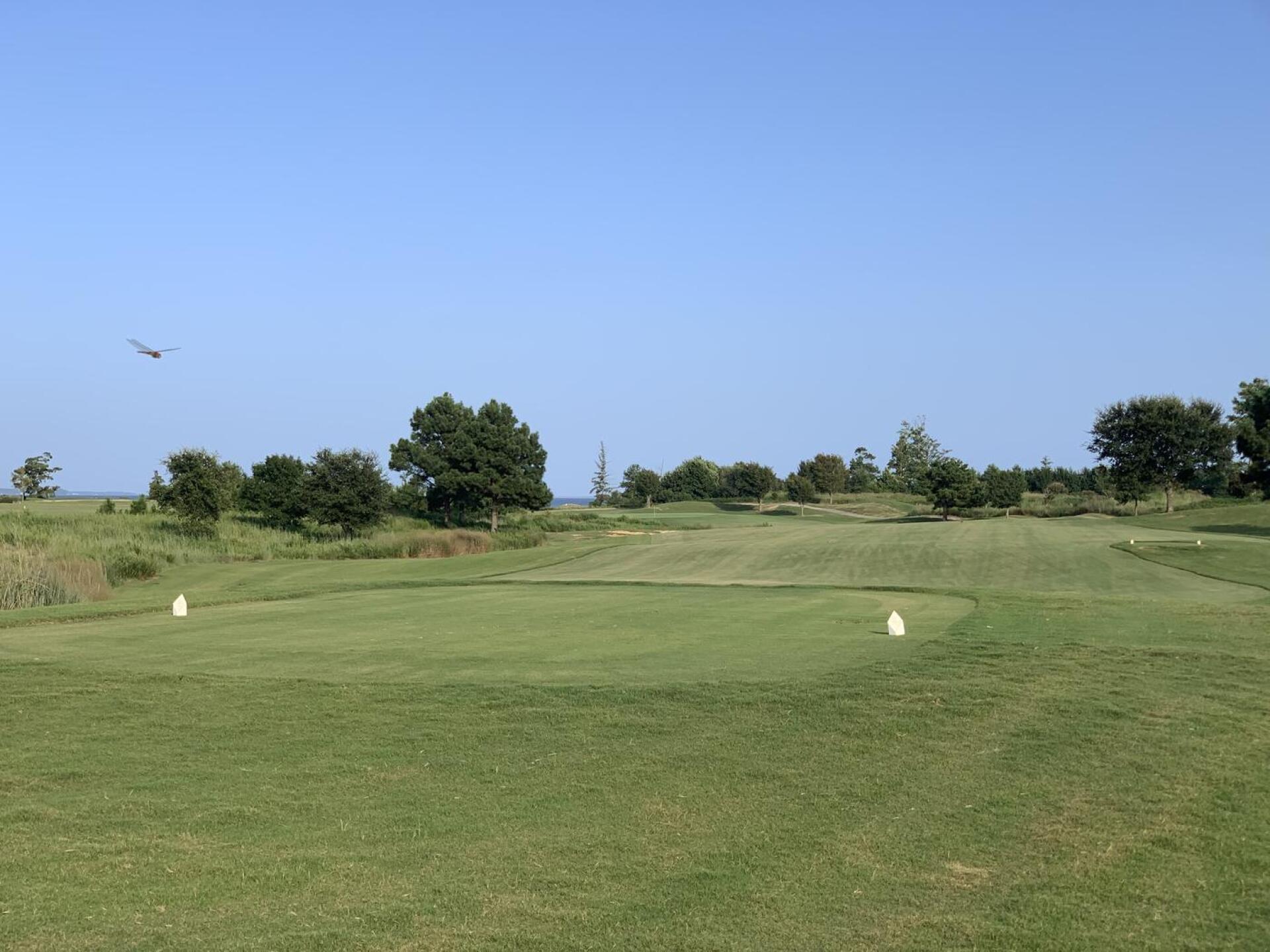 (Photo submitted by AMATTUCCI on 08/27/2021)