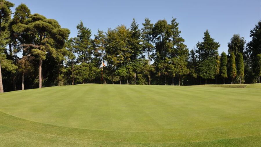 Kamagaya CC - West: #8