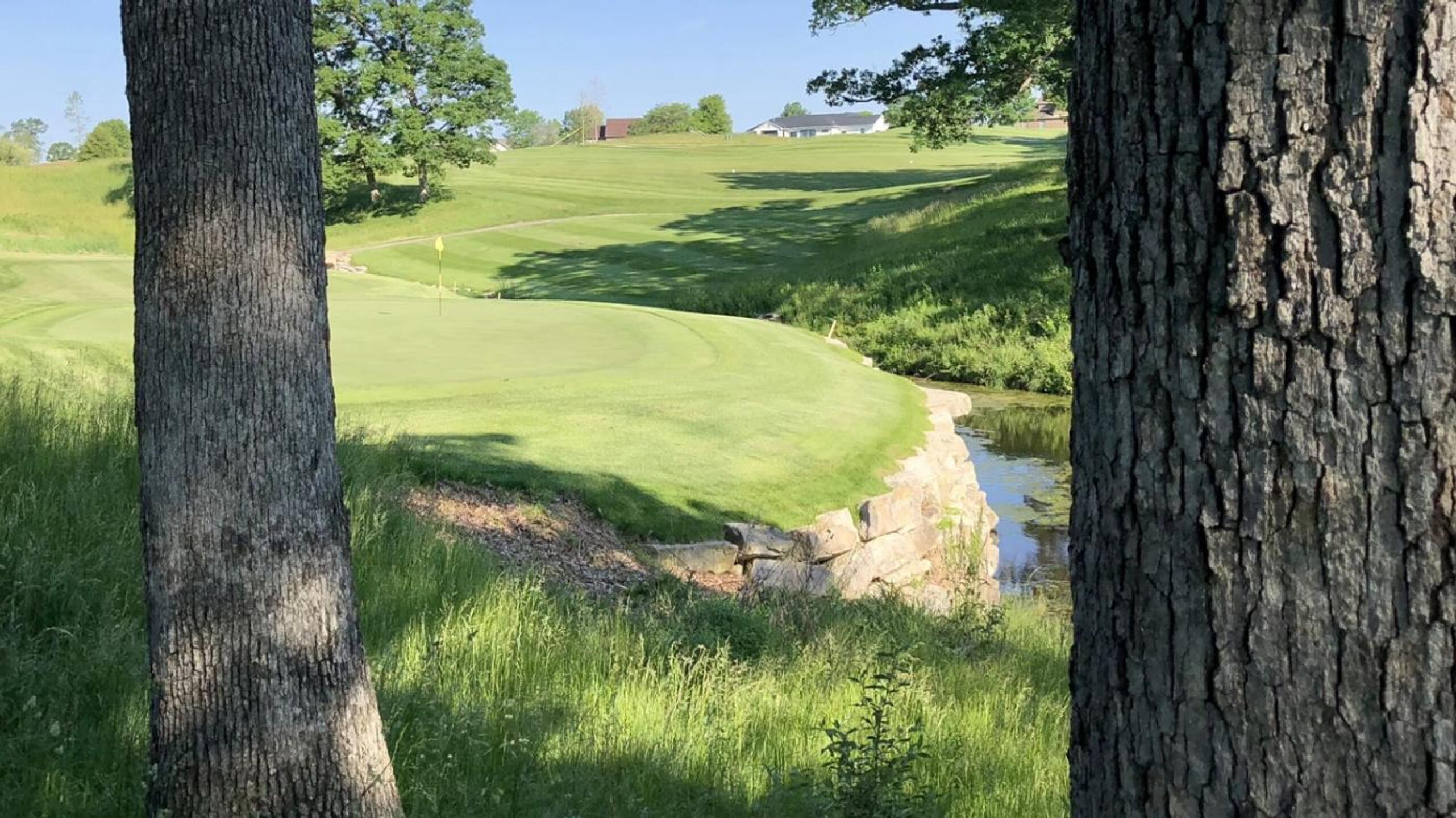 From behind the ninth green (Photo submitted by BrandonWebb on 06/04/2021)