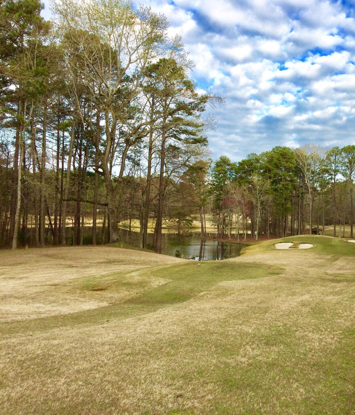 Par-3 third hole, Mountain View course (Photo submitted by BrandonWebb on 03/20/2017)