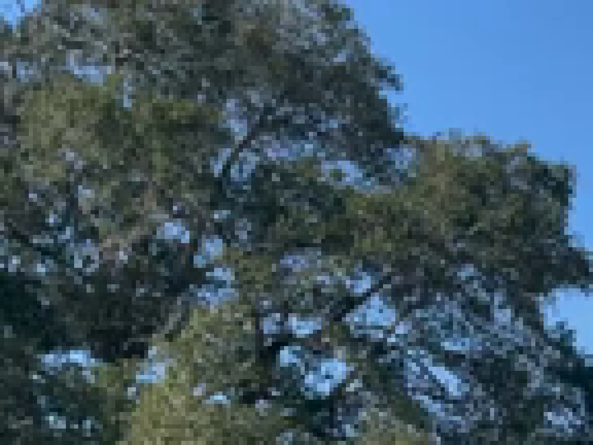 image-00001.png