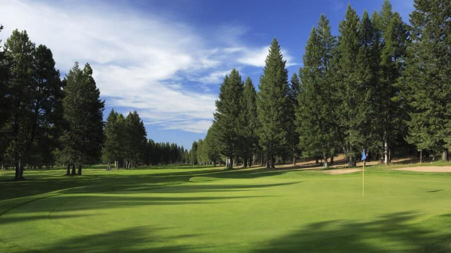 Cranbrook GC: 5th fairway