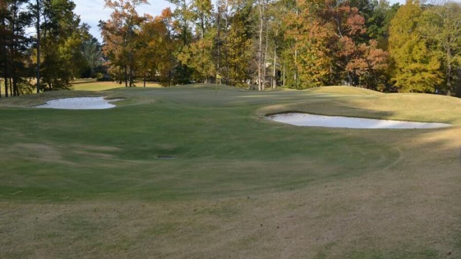 Founders at Greystone GCC: #17