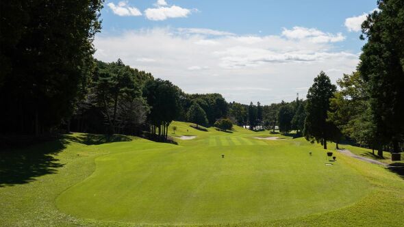 Royal Meadow GC: #15