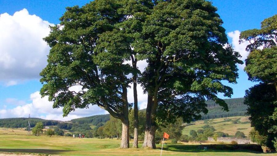 Mountain Ash GC