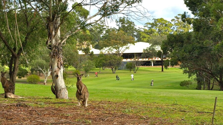 Pambula Merimbula GC