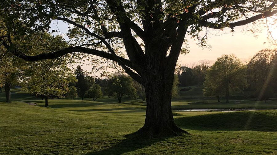 Willow Ridge CC