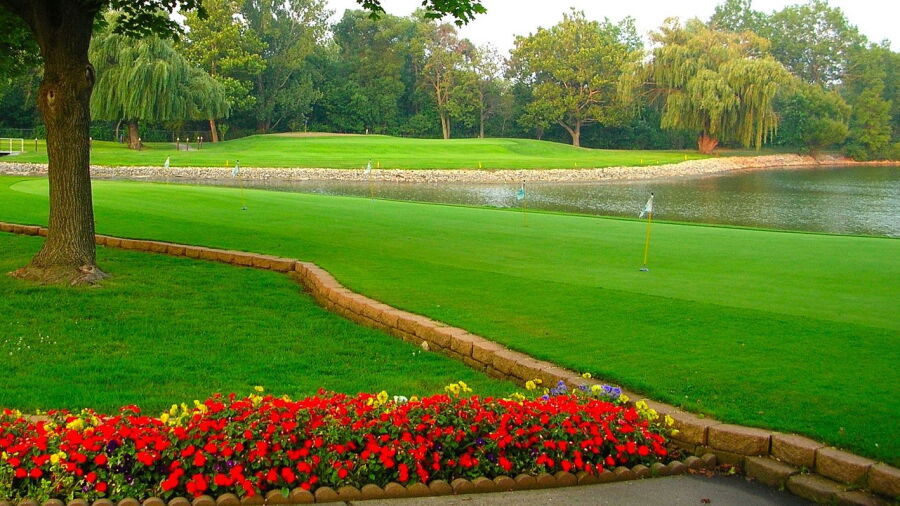 Lansing CC: Practice area