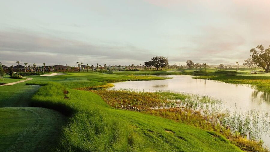 Loblolly Executive GC