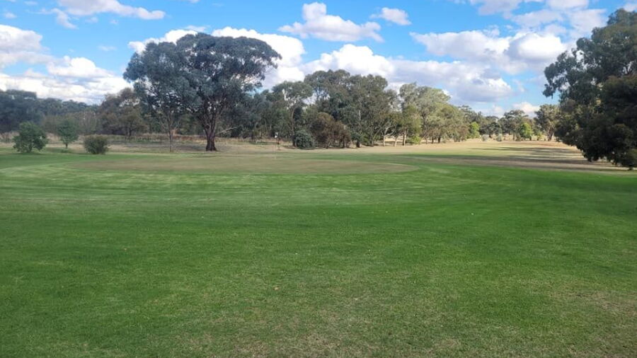 Temora GC