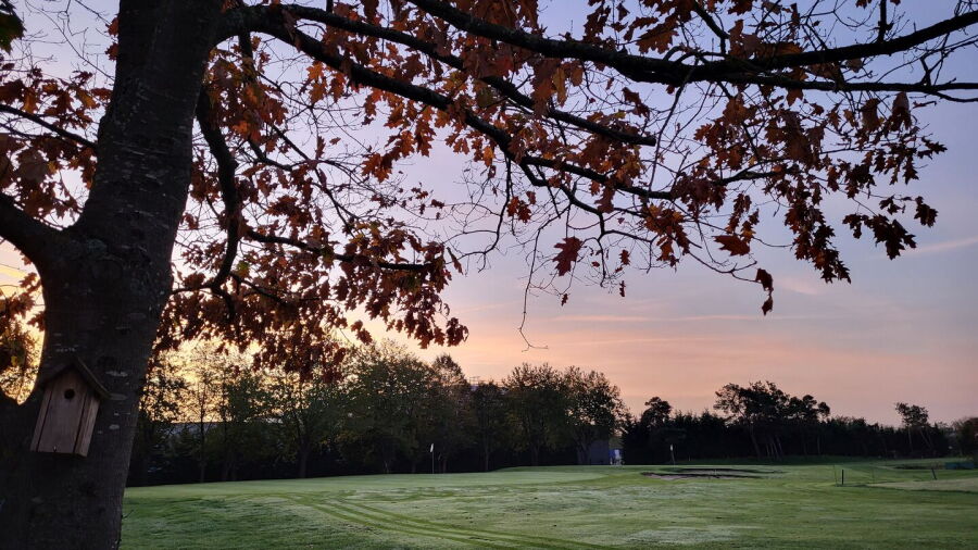 Des Bouleaux GC