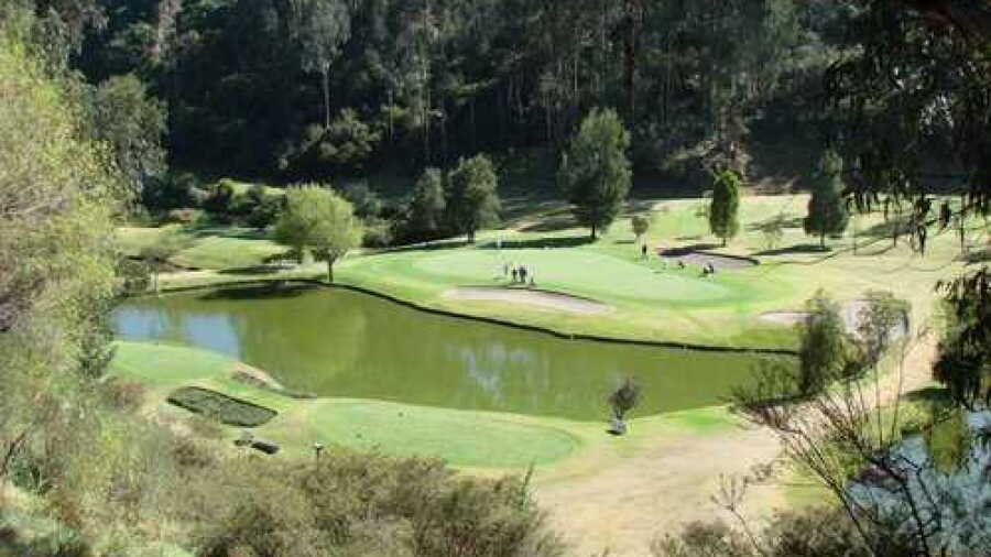 Los Cerros GC: #8