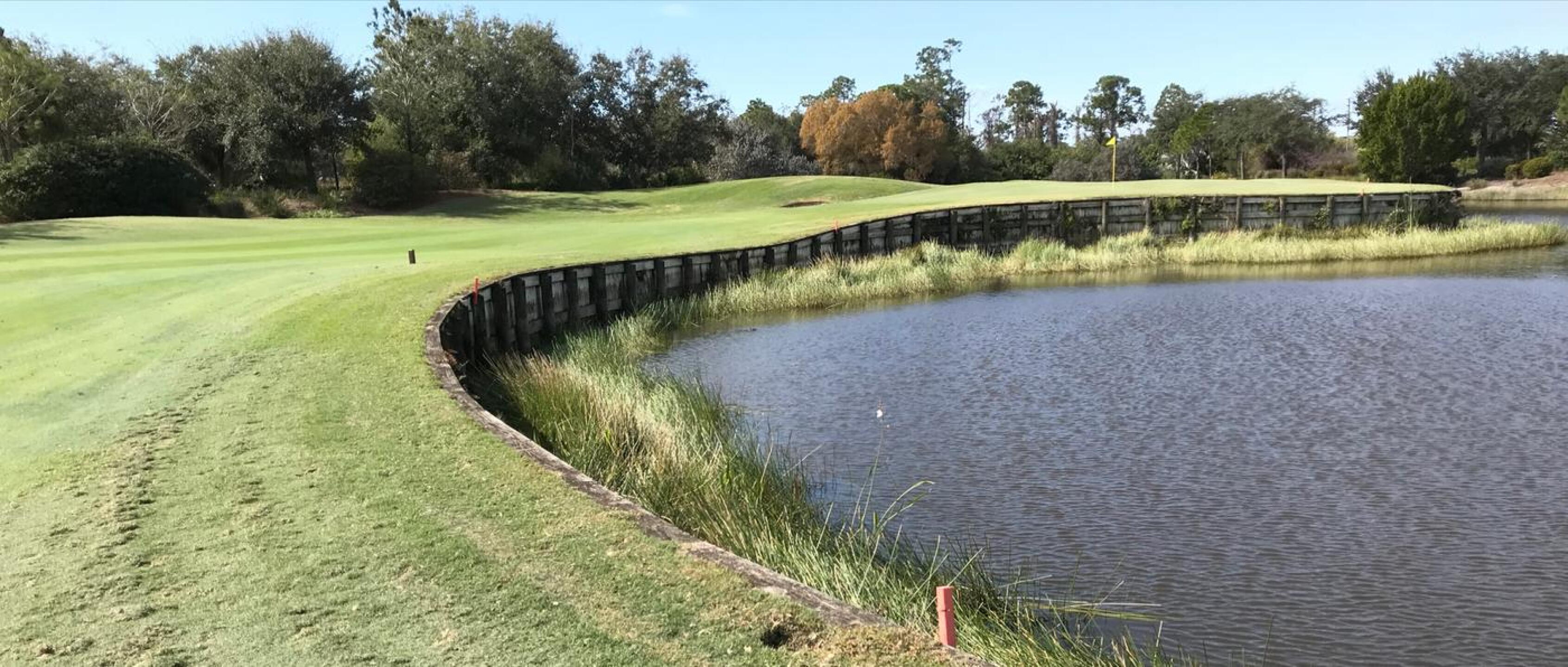 Watch Out for the Gators! (Photo submitted by Hawkeye124 on 01/22/2020)