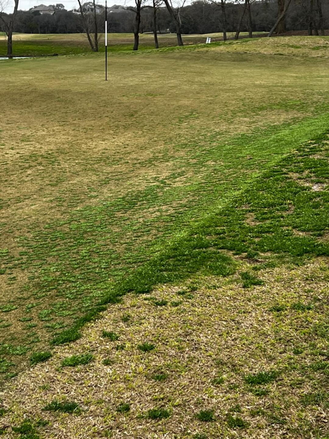 18th green (Photo submitted by allergydoc on 02/25/2023)