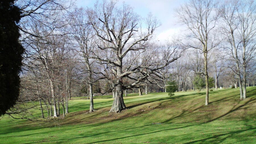 Cliffside GC