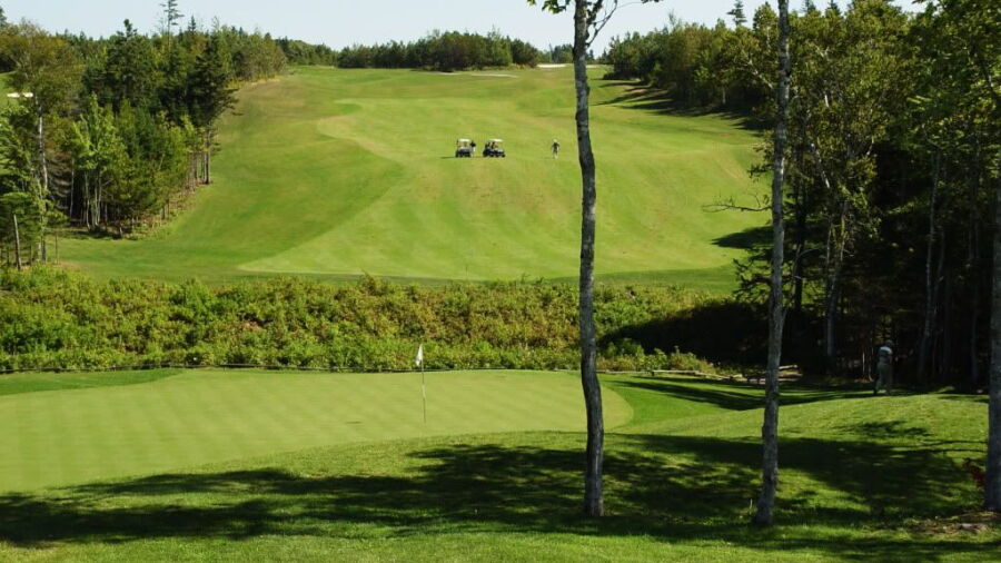 Andersons Creek GC: #3